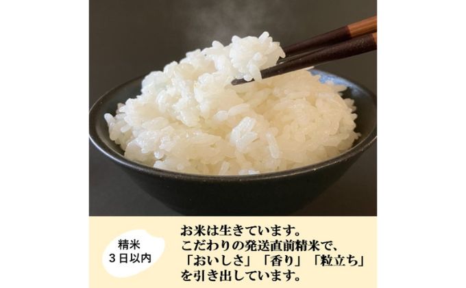 【日本農業賞大賞】特別栽培米コシヒカリ4.5kg精白米