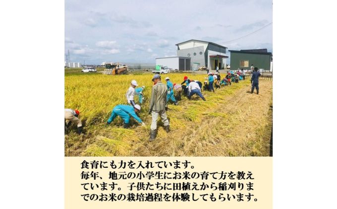 【日本農業賞大賞】【定期便3カ月連続】特別栽培米コシヒカリ3kg精白米