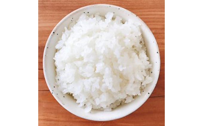 令和7年度産　ミルキークイーン（白米10kg） お米 ライス 精米 ブランド米 ご飯 炭水化物 毎食 朝ごはん ランチ 昼ごはん 夜ごはん 食卓 主食 おにぎり 直送 低農薬 