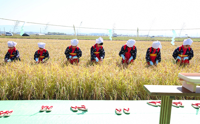 北本農場こだわりのお米令和5年度産コシヒカリ精米10kg有機肥料(ボカシ肥料）で育てたお米