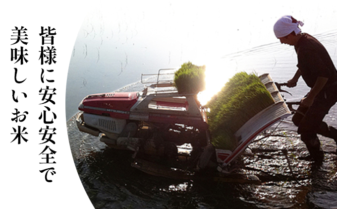 令和7年度産　ミルキークイーン（白米10kg） お米 ライス 精米 ブランド米 ご飯 炭水化物 毎食 朝ごはん ランチ 昼ごはん 夜ごはん 食卓 主食 おにぎり 直送 低農薬 