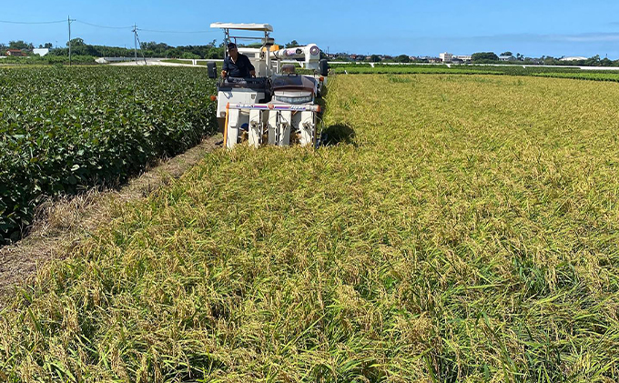 北本農場こだわりのお米令和7年度産コシヒカリ精米5kg 有機肥料（ボカシ肥料）で育てたお米