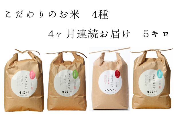 【4カ月連続でお届け】北本農場 「こだわりのお米」 令和6年度産　精米 5kg