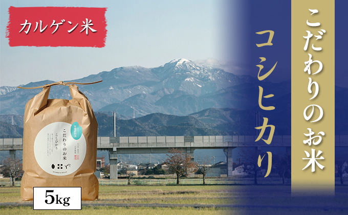 【4カ月連続でお届け】北本農場 「こだわりのお米」 令和6年度産　精米 5kg