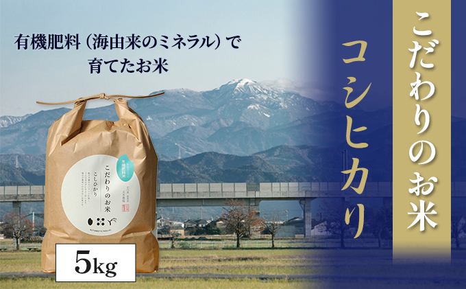 【4カ月連続でお届け】北本農場 「こだわりのお米」 令和6年度産　精米 5kg