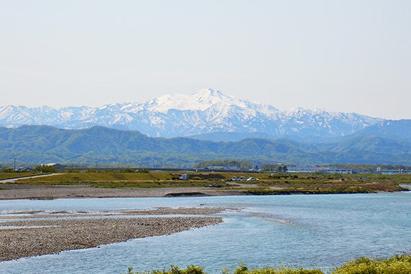 石川県能美産コシヒカリ　ぐっどのみ(精米)10kg