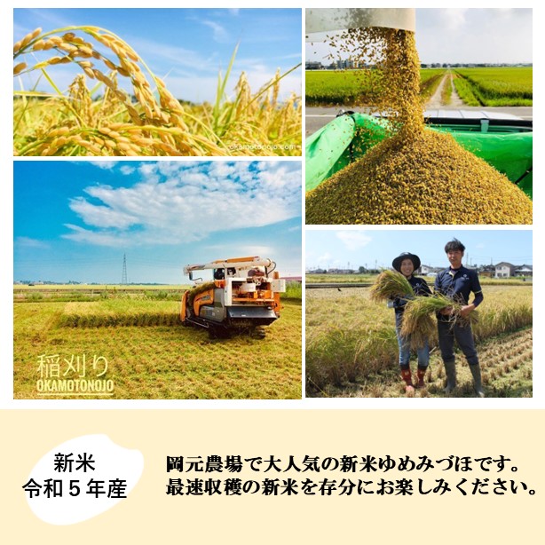 【日本農業賞大賞】【令和5年産】ゆめみづほ3kg精白米