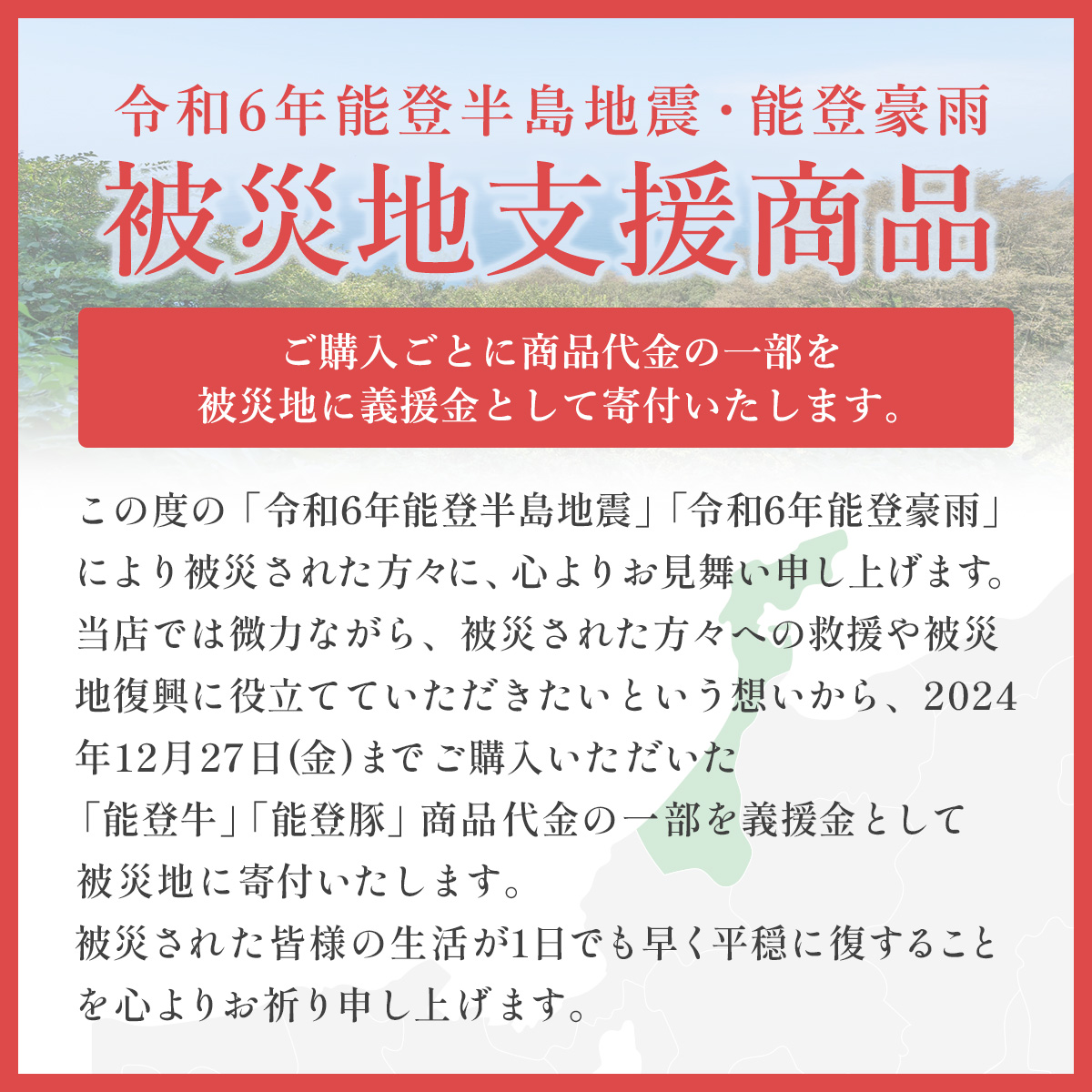 肉【和牛セレブ】能登牛 サーロインステーキ 240g サーロインステーキ 240g 黒毛和牛 サーロイン ステーキ 霜降り ギフト 石川県 能美市