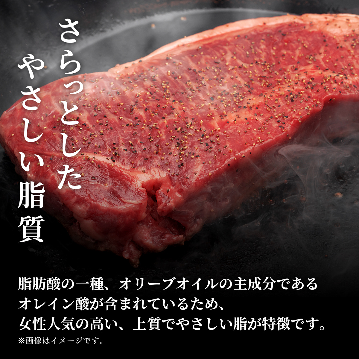 肉【和牛セレブ】能登牛 サーロインステーキ 240g×2枚 サーロインステーキ 240g 黒毛和牛 サーロイン ステーキ 霜降り ギフト 石川県 能美市