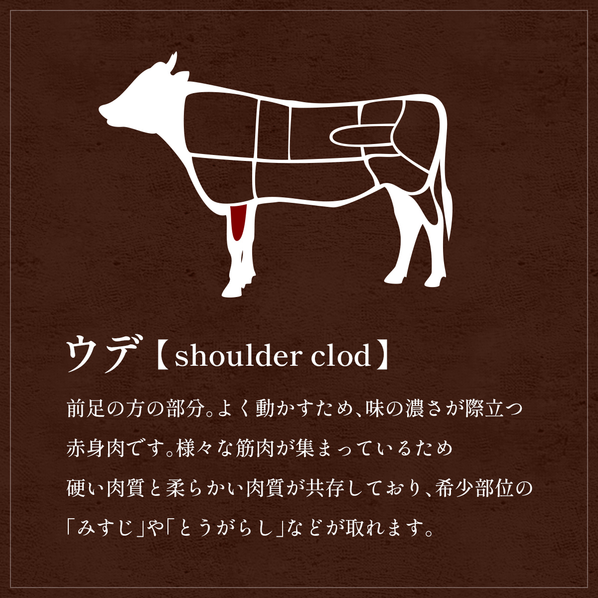 肉【和牛セレブ】能登牛　牛肩(うで) すき焼き・しゃぶしゃぶ 200g 黒毛和牛 霜降り ギフト 石川県 能美市