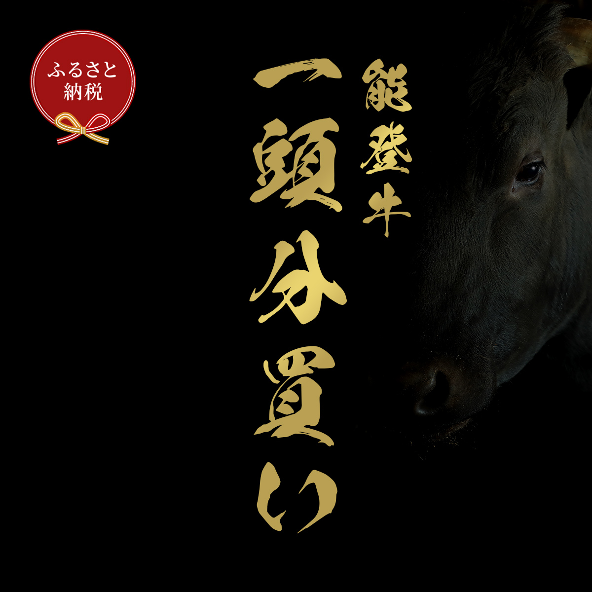 肉 【和牛セレブ】能登牛 一頭買い（12分割配送）2個口 黒毛和牛 霜降り ギフト 石川県 能美市