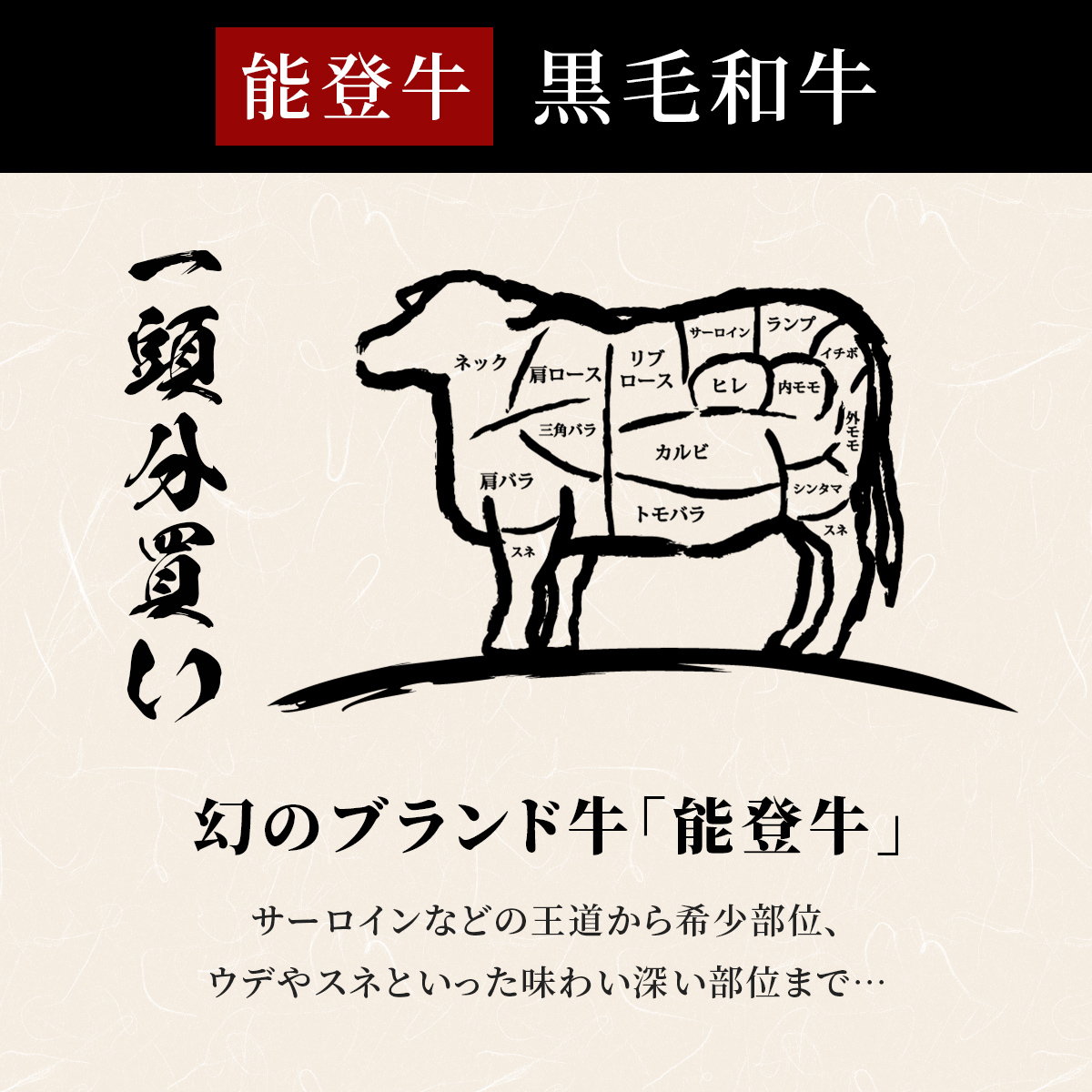 肉 【和牛セレブ】能登牛 一頭買い（12分割配送）2個口 黒毛和牛 霜降り ギフト 石川県 能美市