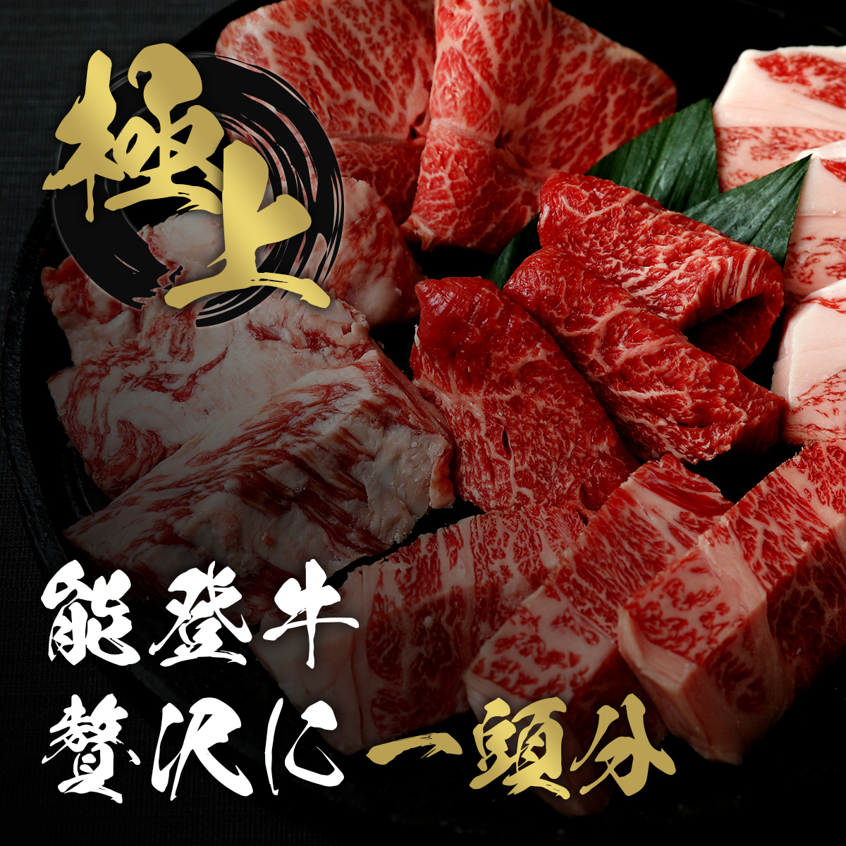 肉 【和牛セレブ】能登牛 一頭買い（24分割配送）2個口 黒毛和牛 霜降り ギフト 石川県 能美市