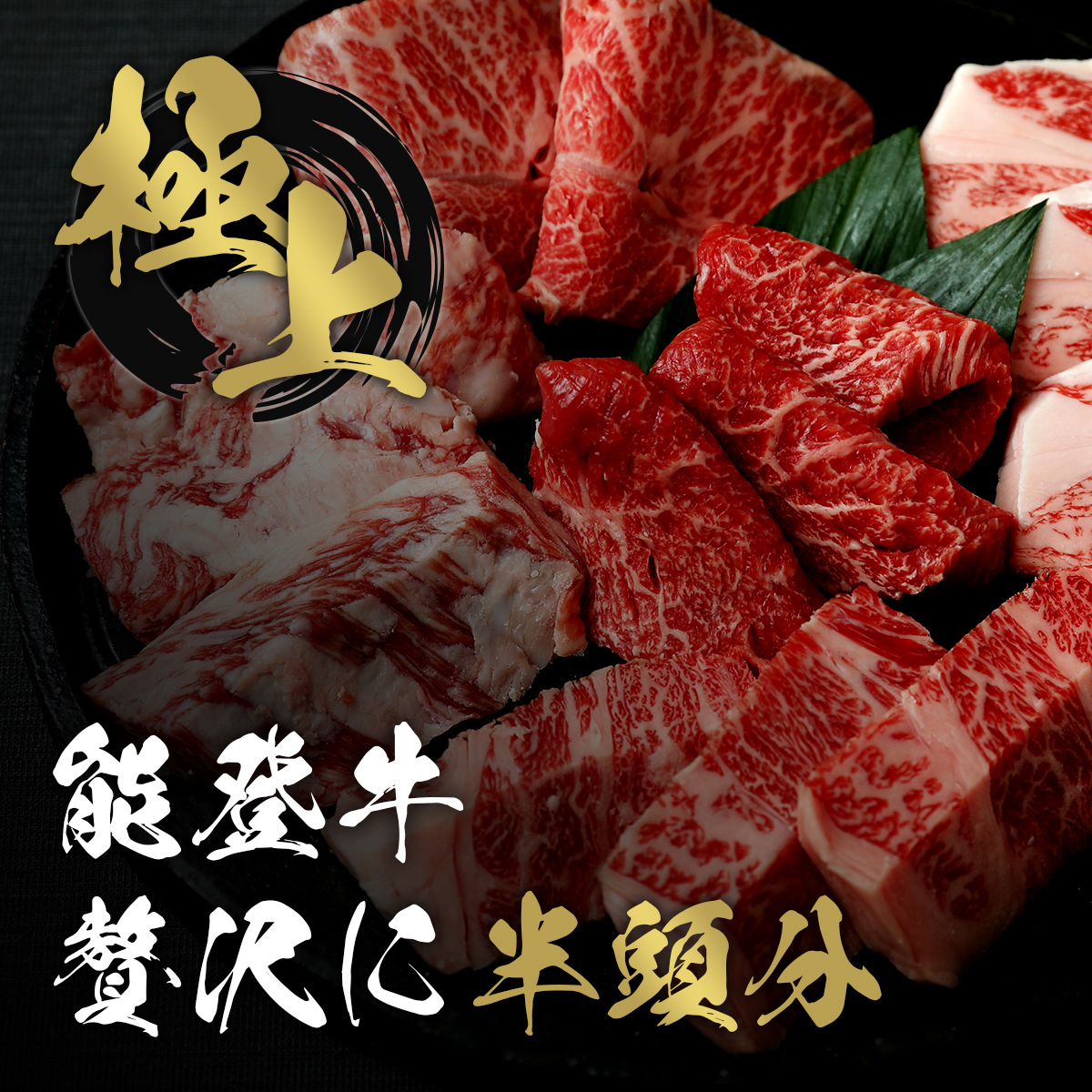 肉【和牛セレブ】能登牛 半頭買い（一括配送）11個口 黒毛和牛 霜降り ギフト 石川県 能美市