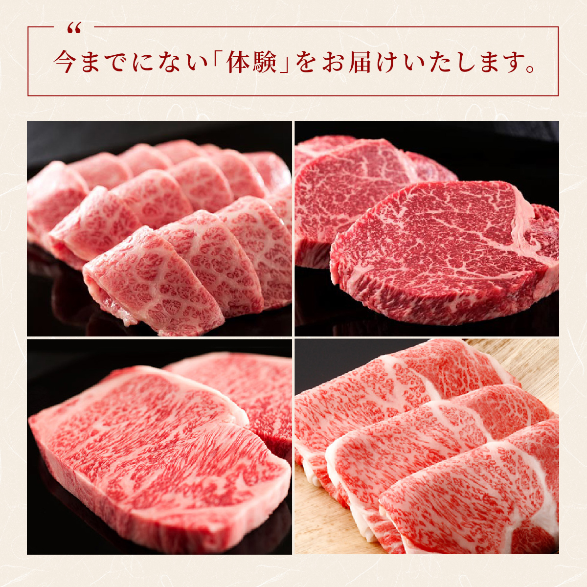 肉【和牛セレブ】能登牛 半頭買い（一括配送）11個口 黒毛和牛 霜降り ギフト 石川県 能美市