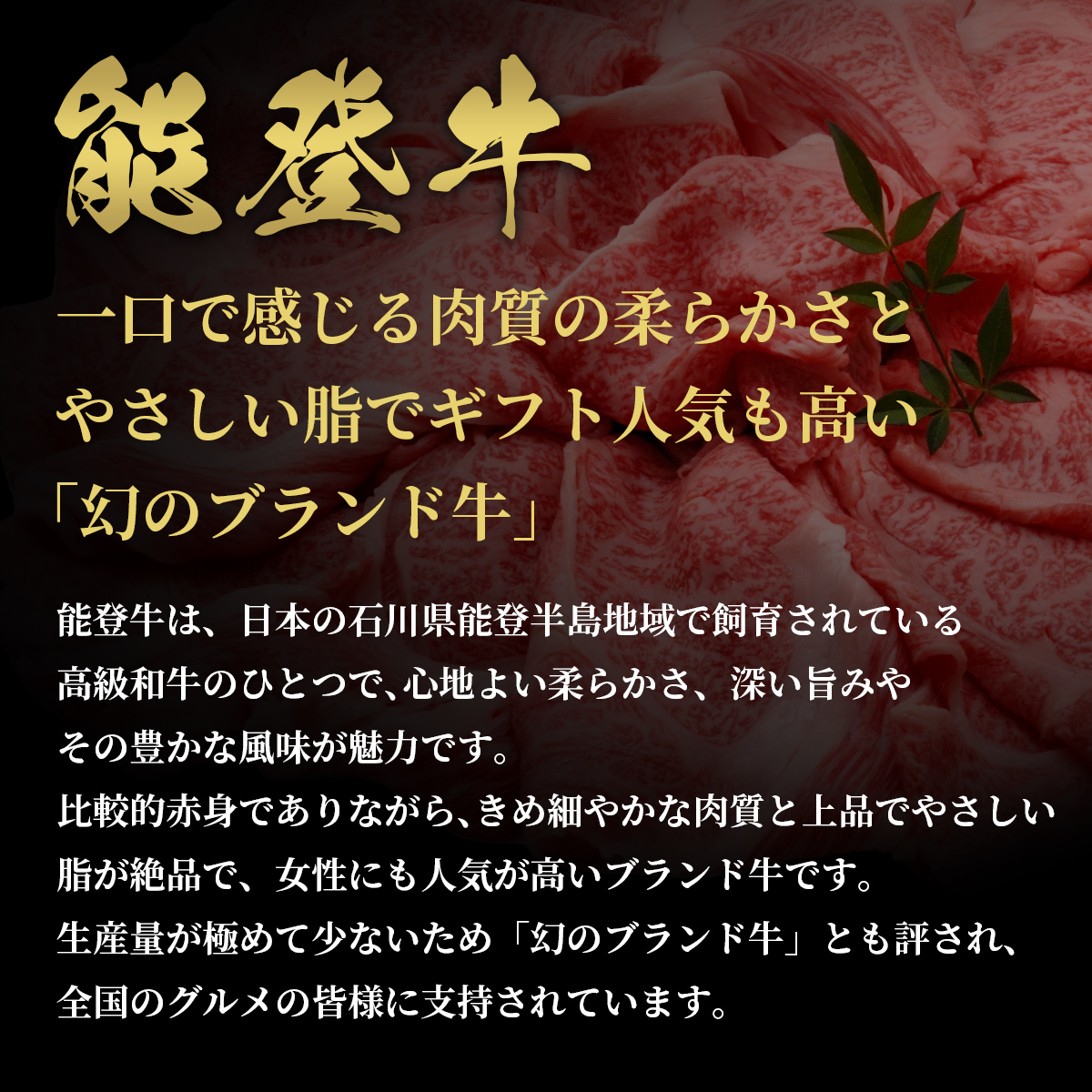 肉【和牛セレブ】能登牛 半頭買い（12分割配送）黒毛和牛 霜降り ギフト 石川県 能美市