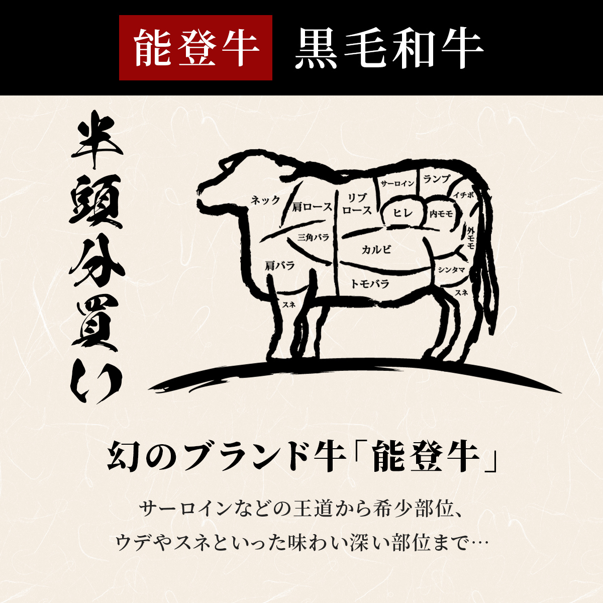 肉【和牛セレブ】能登牛 半頭買い（12分割配送）黒毛和牛 霜降り ギフト 石川県 能美市