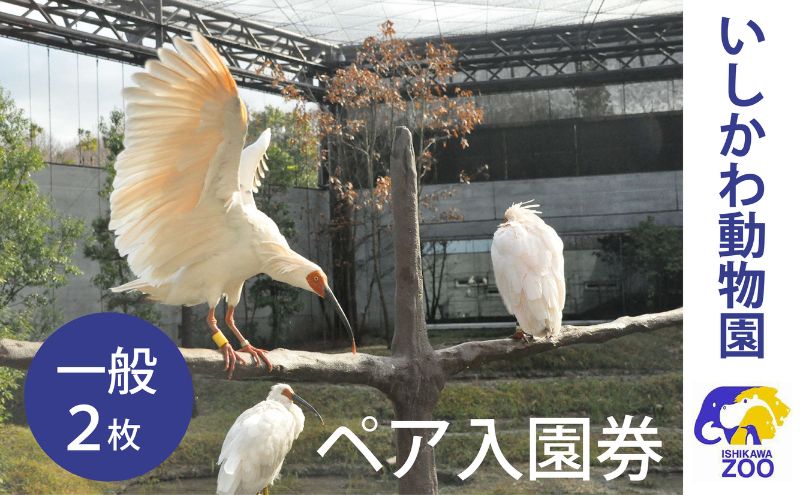 チケット いしかわ動物園ペア入園券（一般）石川県 能美市