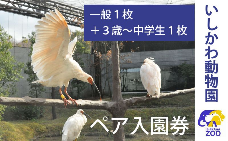 チケット いしかわ動物園ペア入園券（一般＋3歳以上中学生以下）石川県 能美市