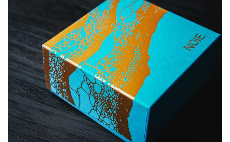 【2箱セット】　能登塩のリッチチョコクッキー 能美市 クッキー 菓子 焼き菓子 お菓子 おやつ スイーツ デザート お取り寄せ ギフト