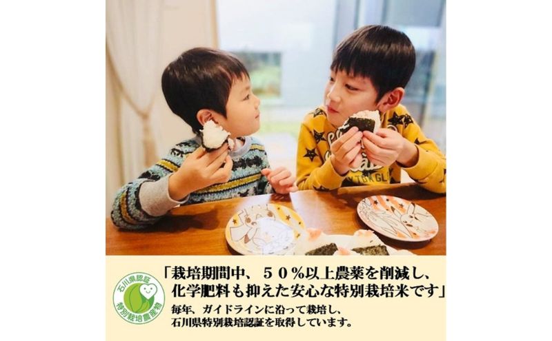 ãæ¥æ¬èŸ²æ¥è³å€§è³ãå³éžãã¬ãã¢ã ç±³3kg粟çœç±³(ç¹å¥æ œå¹ç±³ã³ã·ãã«ãª)ãå®æäŸ¿3ã«æé£ç¶ã