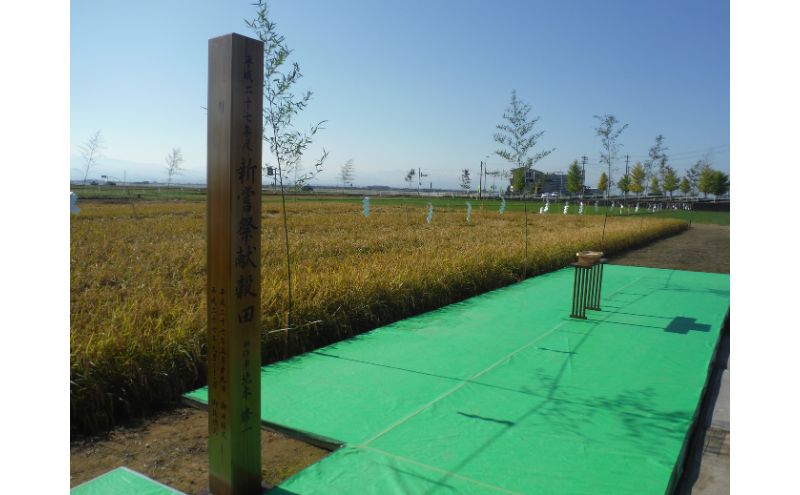 北本農場 こだわりのお米 令和7年産 石川県 にこまる米 白米10kg