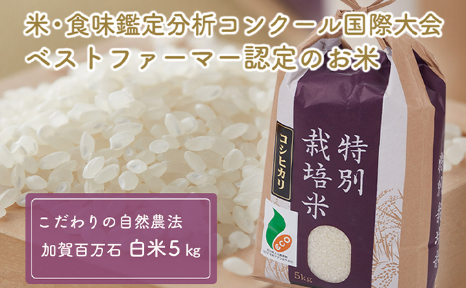 加賀百万石特別栽培米コシヒカリ白米5kg