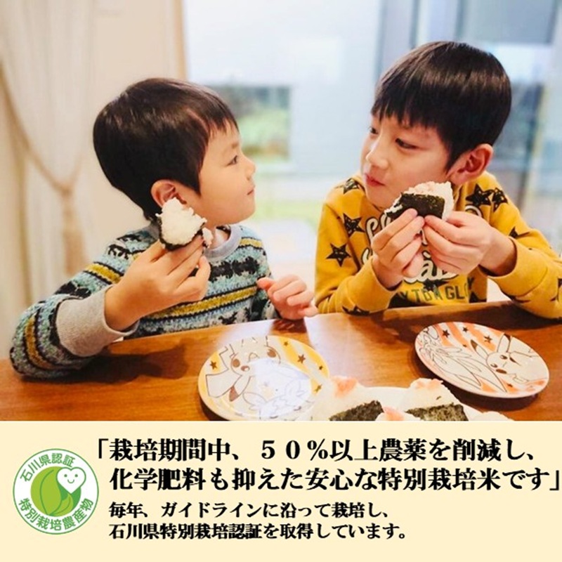 【日本農業賞大賞】厳選プレミアム米4.5kg精白米(特別栽培米コシヒカリ)【定期便5カ月連続】 お米 5ヶ月 5回 