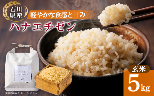 【家庭料理にぴったりの旨み】石川県野々市市産ハナエチゼン令和7年産玄米 5kg【1685138】