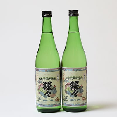 【野々市市の地酒】純米酒「猩々」720ml×2本セット【「冷や」でも「燗」でも】【1378608】
