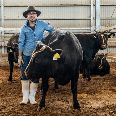 【温めるだけ!】石川県ブランド「能登豚」ひとくちハムカツ 計1.6kg (400g x 4パック)【配送不可地域：離島】【1367311】