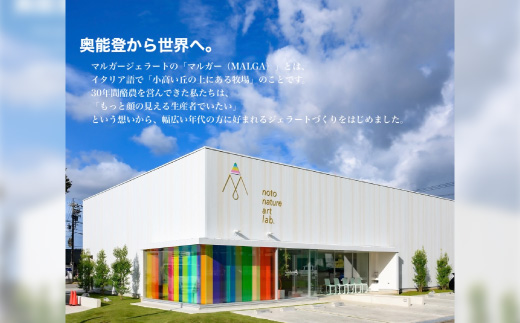 【国内外で数々の受賞歴をもつジェラート店】受賞・まるごと能登ジェラート　6個【配送不可地域：離島】【1233048】