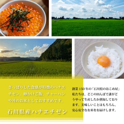 【軽やかな甘みと食べやすさ】石川県産ハナエチゼン令和7年産玄米 3kg【1685131】