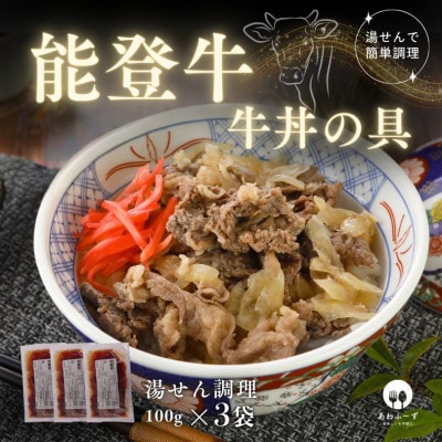 【湯せんで手早く】能登牛 牛丼の具100g×3袋【配送不可地域：離島】【1669516】