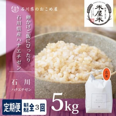 【毎月定期便】【家庭料理にぴったりの旨み】石川県野々市市産ハナエチゼン玄米 5kg全3回【4085908】