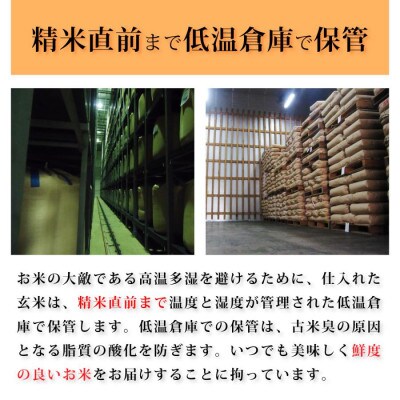 【能登の自然が育む艶やかごはん】石川県産コシヒカリ「能登米」令和7年産 精米10kg(5kg×2袋)【1685054】