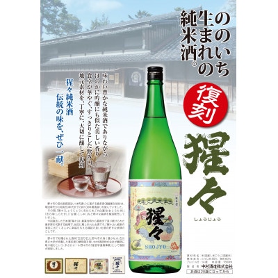 【野々市市の地酒】純米酒「猩々」と梅酒「梅猩々」お楽しみセット(各720ml　1本)【1701979】