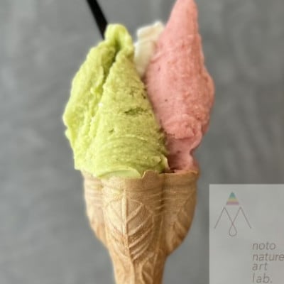 【国内外で数々の受賞歴をもつジェラート店】受賞・まるごと能登ジェラート　16個【配送不可地域：離島】【1729879】