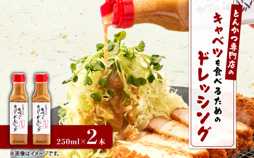 とんかつ専門店のキャベツを食べるためのドレッシング　2本セット【配送不可地域：離島】【1688356】