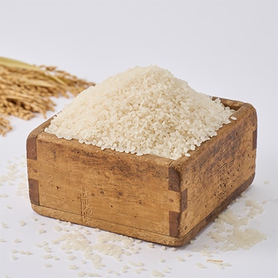 奥能登コシヒカリ「門前米」2kg【1469635】