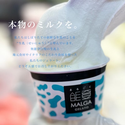 受賞・まるごと能登ジェラート12個【配送不可地域：離島】【1421589】