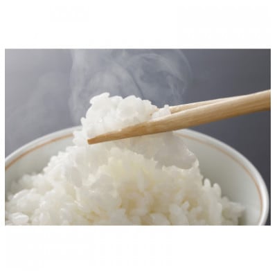 【お米2合真空キューブ】2個入りギフトセット(にじのきらめき2個セット)【1731089】