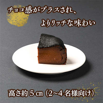 【しっかり、だけどふわとろ】ベルギー産のチョコを贅沢に使用した 生チョコ バスクチーズケーキ【配送不可地域：離島】【1337006】