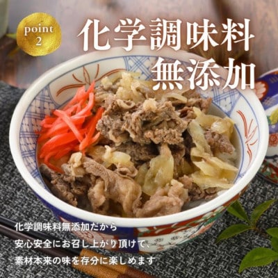 【湯せんで手早く】能登牛 牛丼の具100g×3袋【配送不可地域：離島】【1669516】