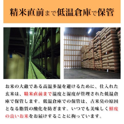 奥èœç»ã³ã·ãã«ãªãéåç±³ã5kgã1469645ã