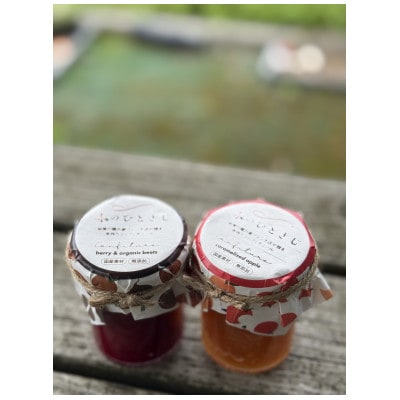 赤のひとさじ キャラメルリンゴ 計100g【1696439】