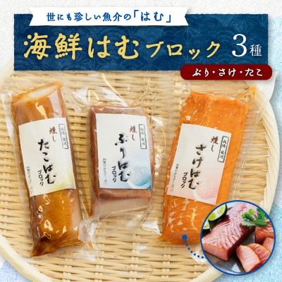 【簡単・便利・味付け不要】海鮮はむブロック3種(ぶり、さけ、たこ)詰合せ【おつまみ・おかずに!】【配送不可地域：離島】【1205814】