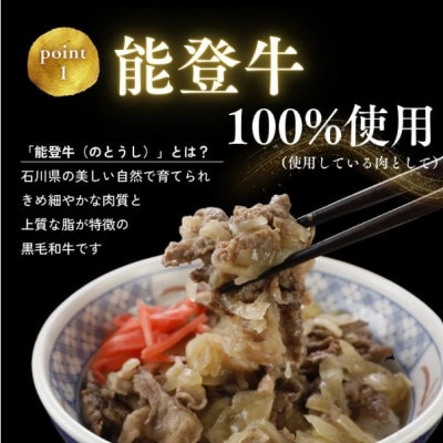 【湯せんで手早く】能登牛 牛丼の具100g×3袋【配送不可地域：離島】【1669516】