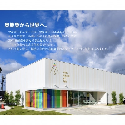 受賞・まるごと能登ジェラート12個【配送不可地域：離島】【1421589】