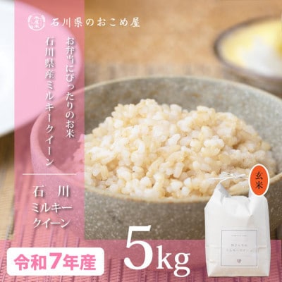 【冷めても美味しいもちもち食感】石川県産ミルキークイーン令和7年産玄米5kg【1685066】